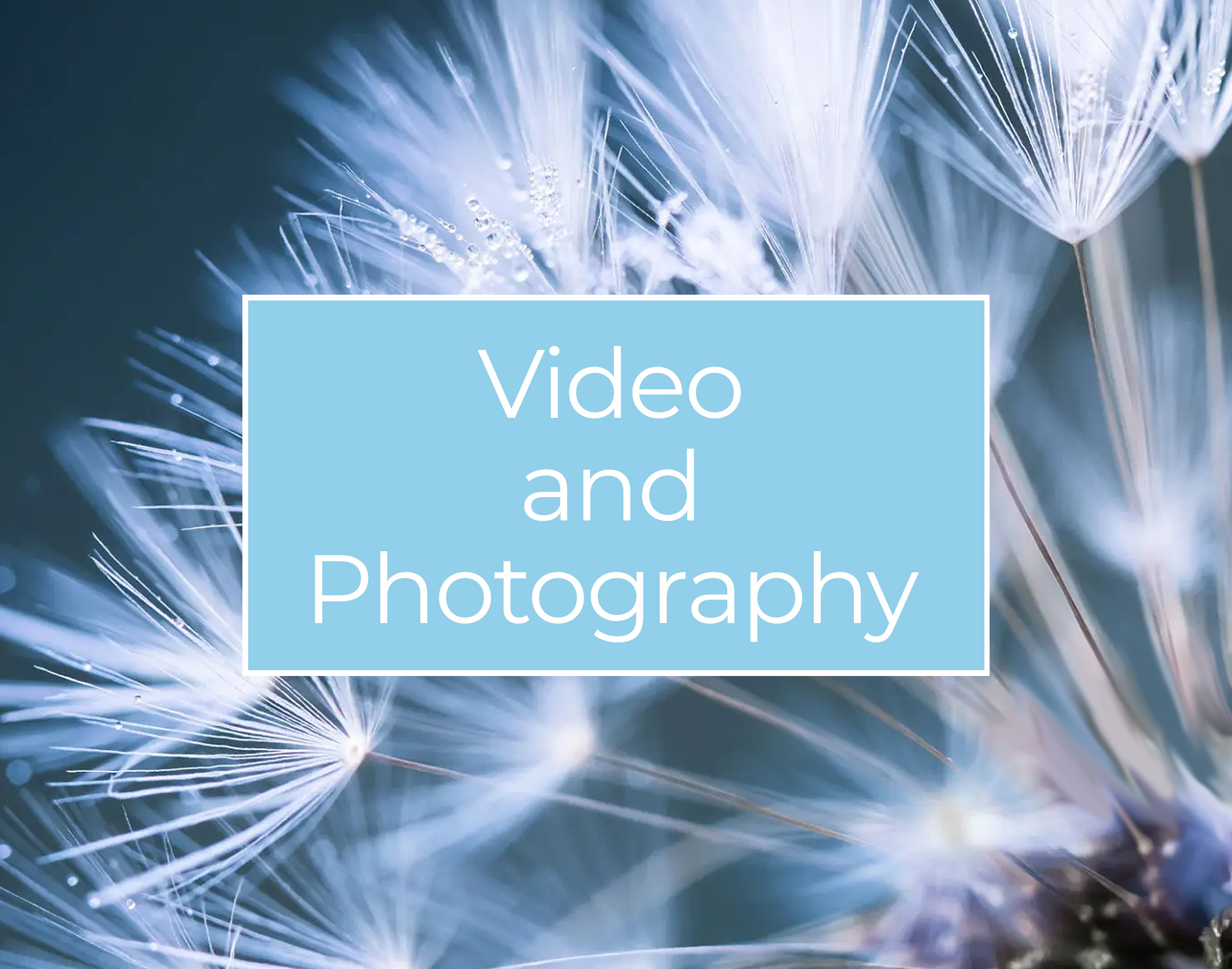 web-tile-videography